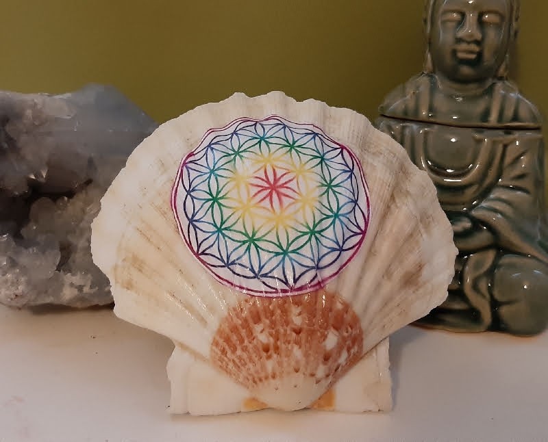 Coquille St Jacques naturelle Fleur de vie