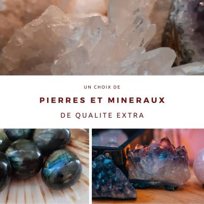 Photos Nouveautés 2021