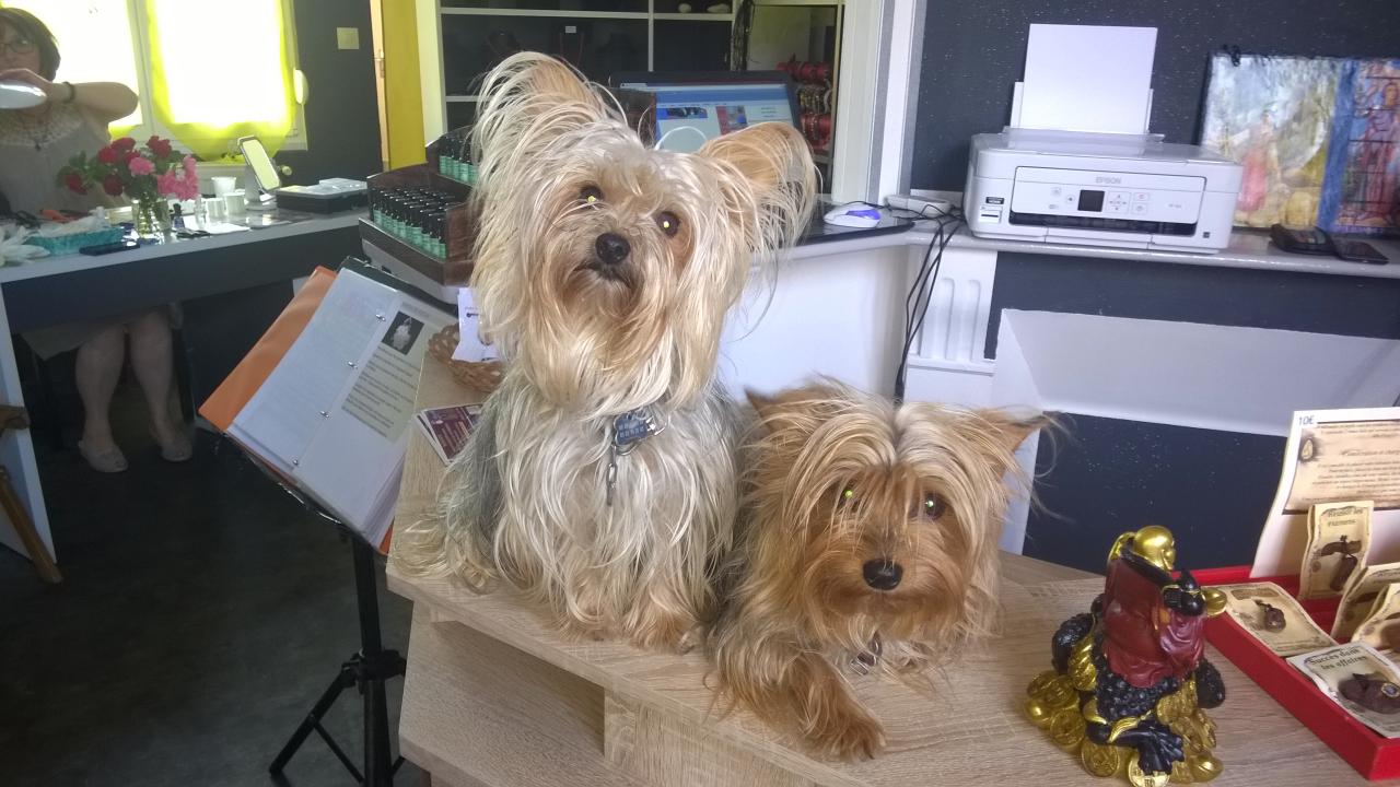 Bandy et Mickette en gardien des lieux