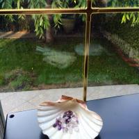 Placez votre coquille à rebord de fenêtre