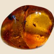 Ambre