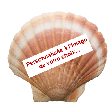 Coquille saint jacques pour la purification personnalisee a l image de votre choix