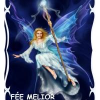 Fee melior