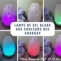 Lampe de sel blanc 7 chakras