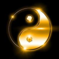 Ying yang 2