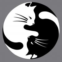 Ying yang chat